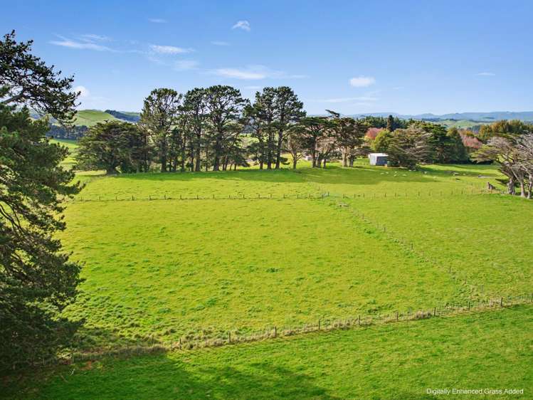 517 Umutaoroa Road Dannevirke_34