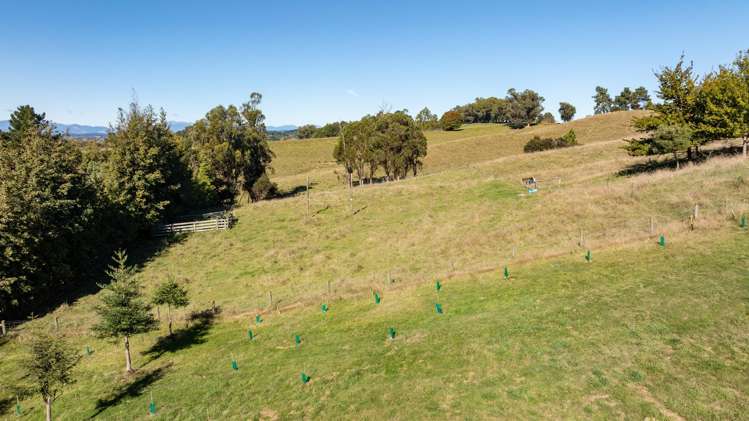 139 McBrydie Road Lower Moutere_6