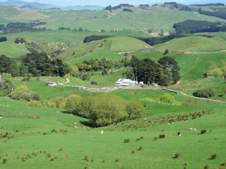 1072 Mangatuna Road Rangitikei Surrounds_12