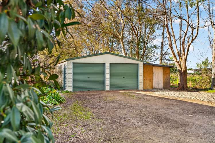 41 Millard Avenue Kuripuni_20