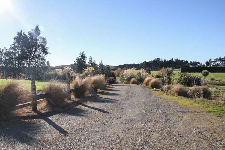 228e Roslyn Road Roslyn Bush_19