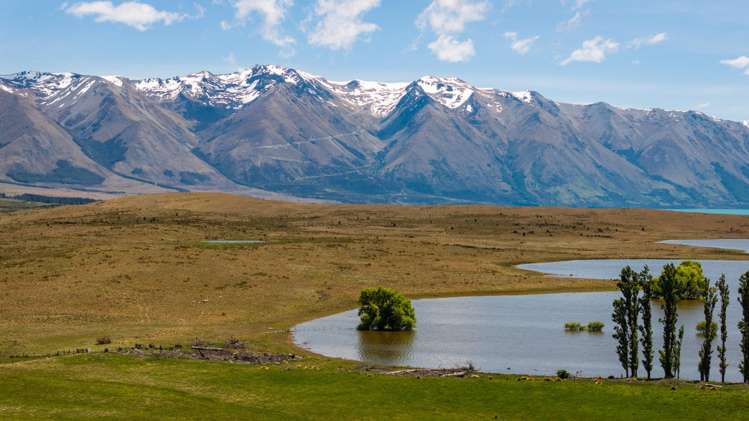 Lagoon Block, Ohau Downs Station Lake Ohau_1