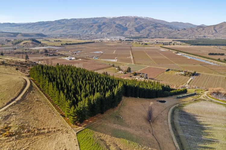 Lot 1 & 5 Ripponvale Road_2