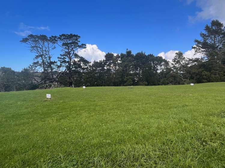 5 Sections Belvedere Place Warkworth Rodney Houses for Sale One