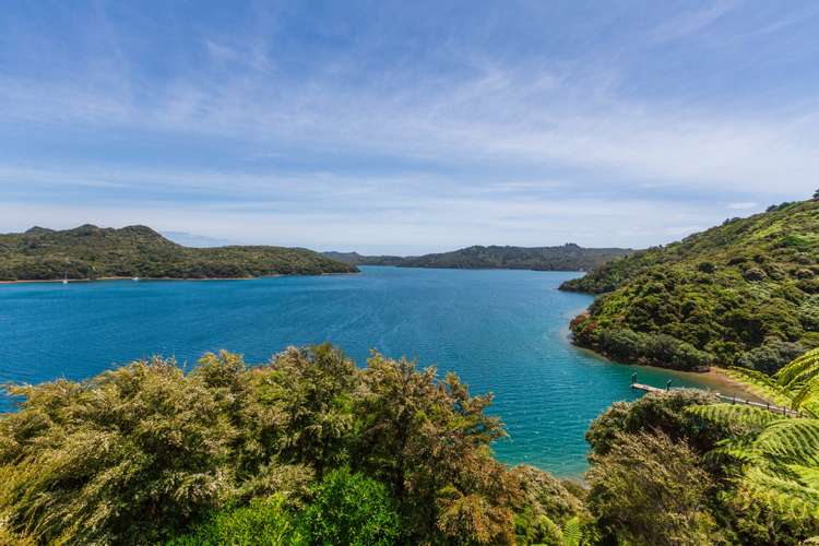 236 Kaiaraara Bay Road Great Barrier Island (Aotea Island)_6