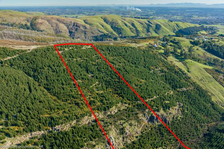 361 Worsleys Road Cashmere_10