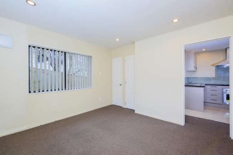 117b Owairaka Avenue Mount Albert_7