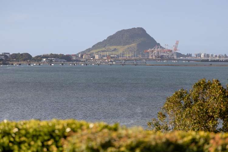 9a Mersea Place Maungatapu_26