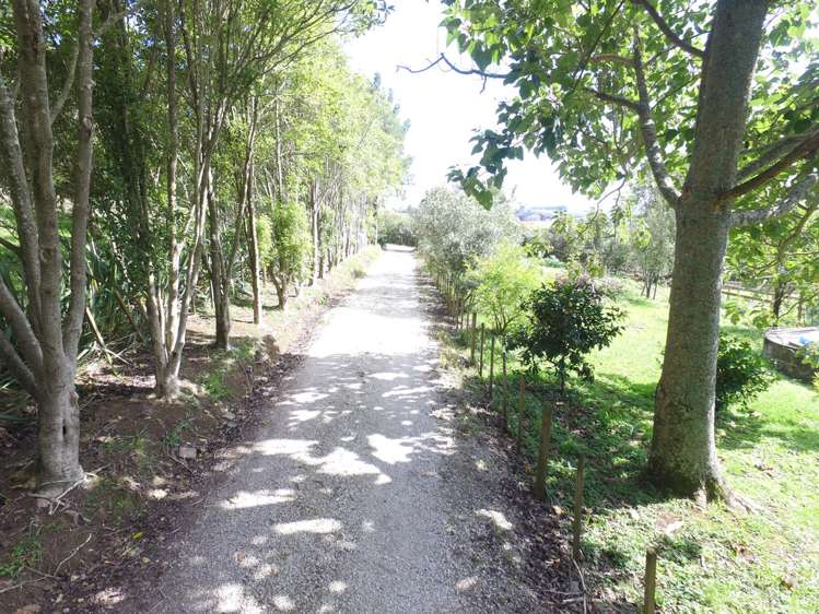 87 Bell Road Whatawhata_17