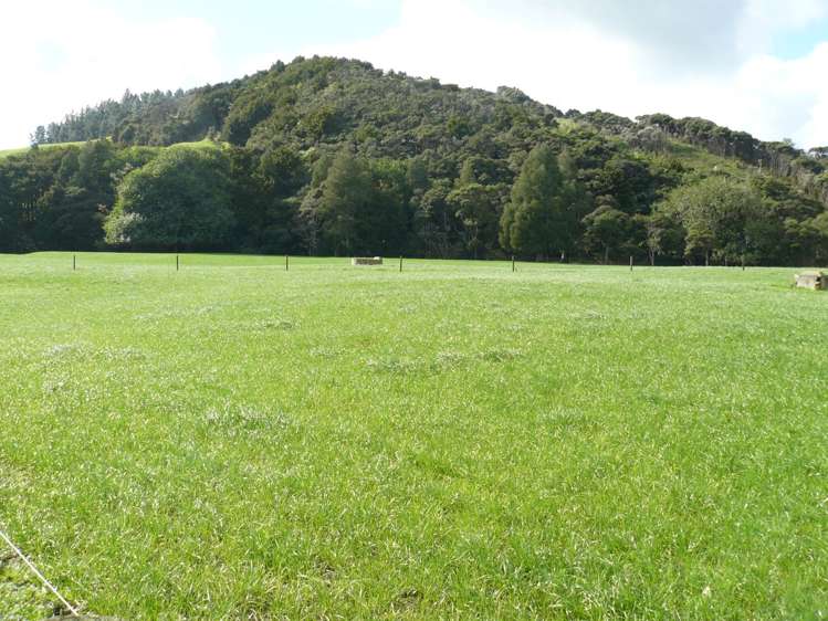 1907 Diggers Valley Road Kaitaia_7