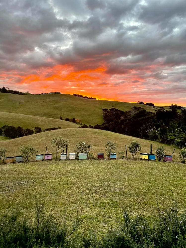 211c Cable Bay Block Road Cable Bay_21