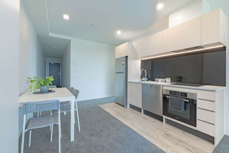 420/428 Dominion Road Mount Eden_6