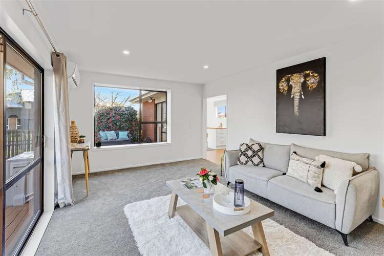 18 Lowry Avenue Redwood_7