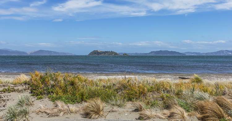 9a Richmond Street Petone_11