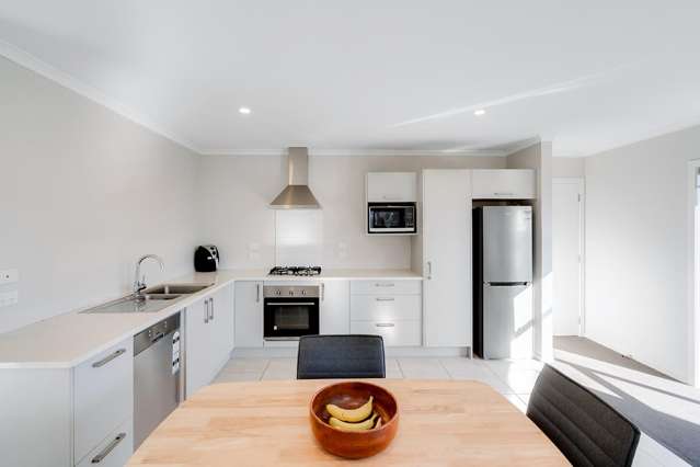 23 Taotahi Avenue Dinsdale_3
