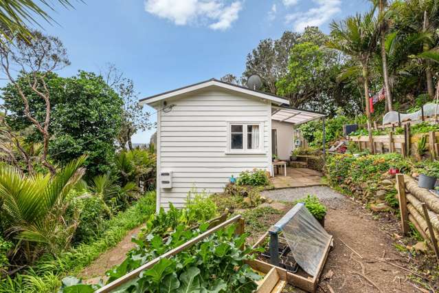 5 Sylvan Glade Piha_3