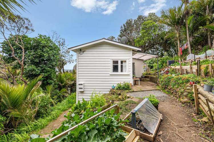 5 Sylvan Glade Piha_2