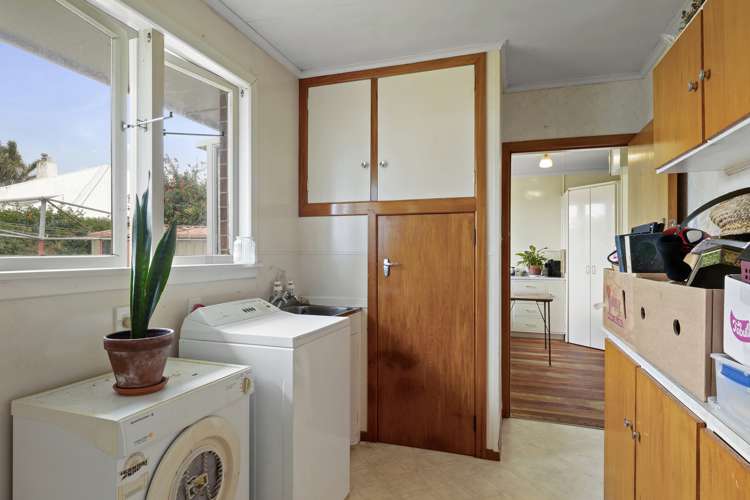 241c Carrington Street Vogeltown_7