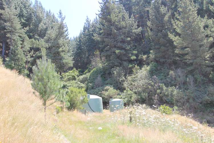 1806 Northbank Road Wairau Valley_7