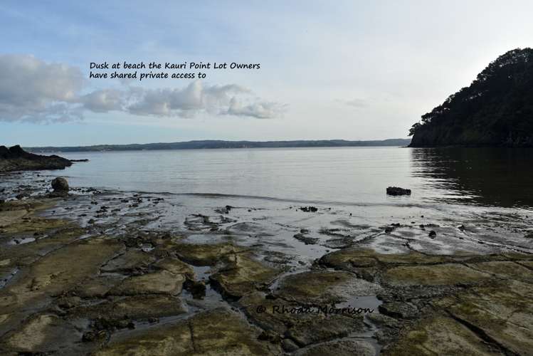 100 Te Wairoa Lane Matakohe_20