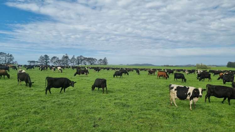 388 Matauri Bay Road Kaeo_33