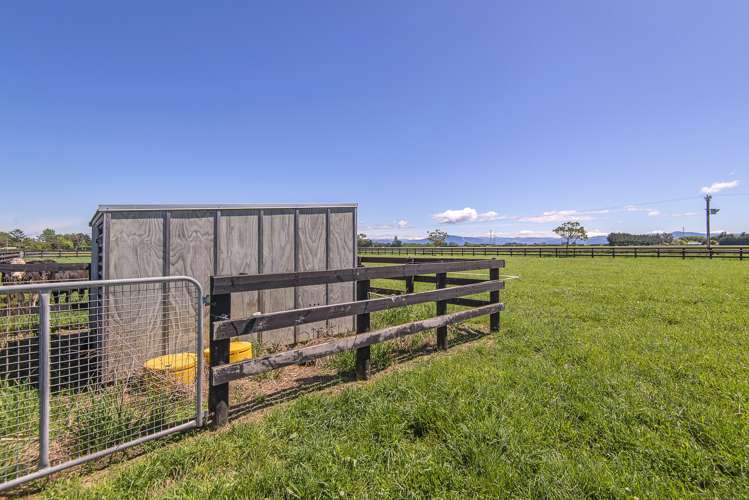 289 Johns Road Fernside_10