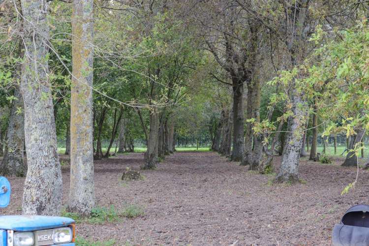 8 Ingram Road Hexton_8