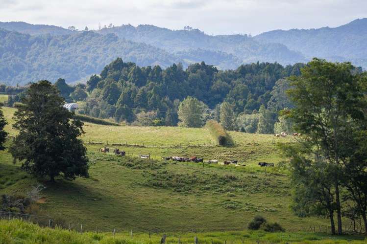 58 Deam Road Waihi_38