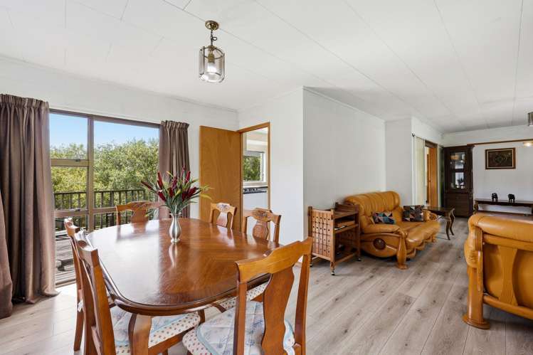 263 Point View Drive Dannemora_15