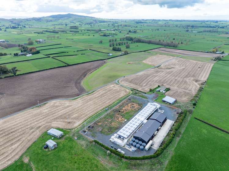 109A/B Reay & Watson Road Tauhei_16