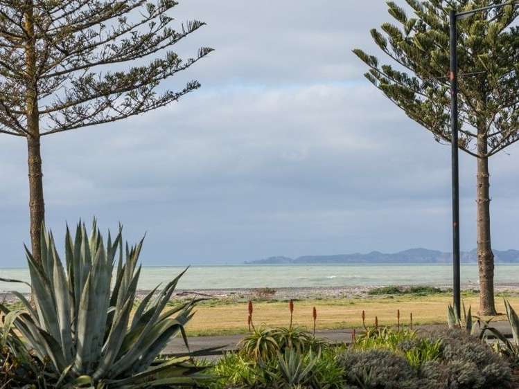 609 Marine Parade Napier South_8