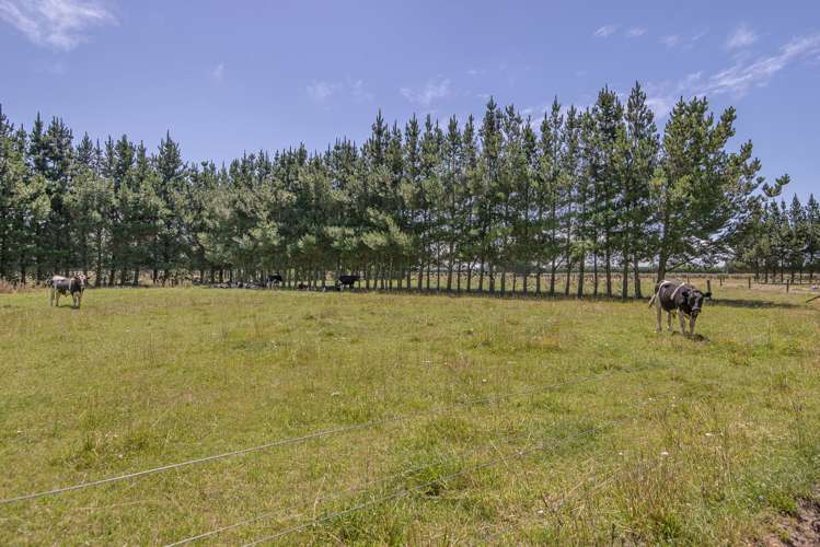 215 Harmans Road Leeston_17