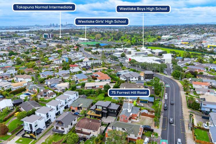 75 Forrest Hill Road Milford_7