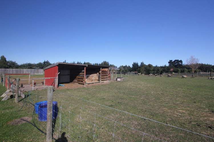 1119 Downs Road West Eyreton_12