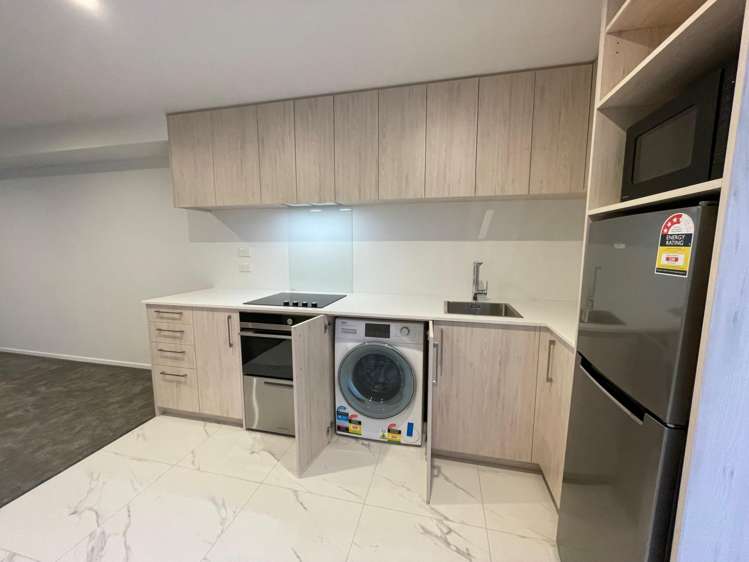  75 Ferry Road Christchurch Central_1