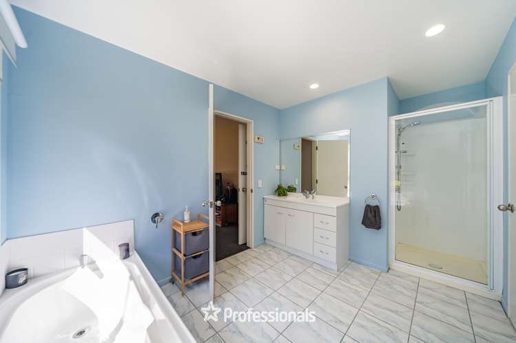 8 Tuhua Lane Brown Owl_18