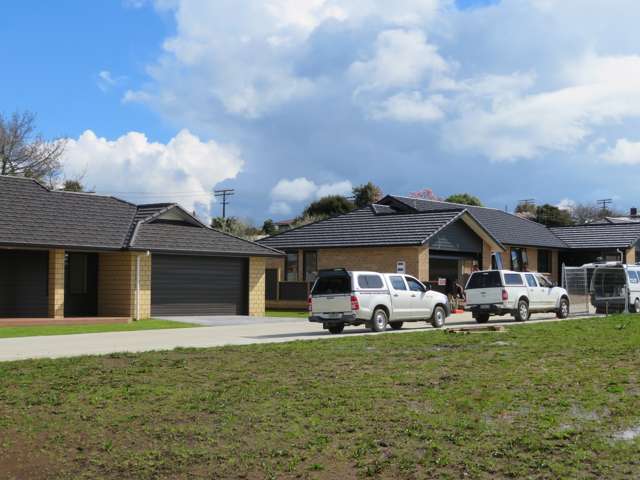 Puniu Road Te Awamutu_1