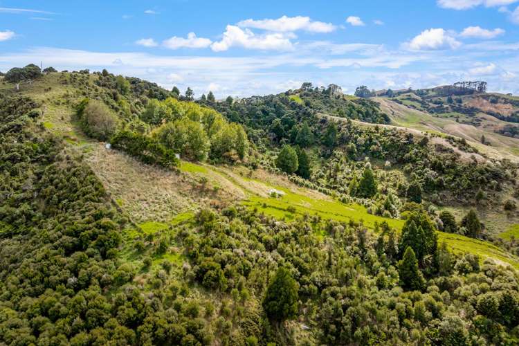 808 Kaipara Hills Road Warkworth_12