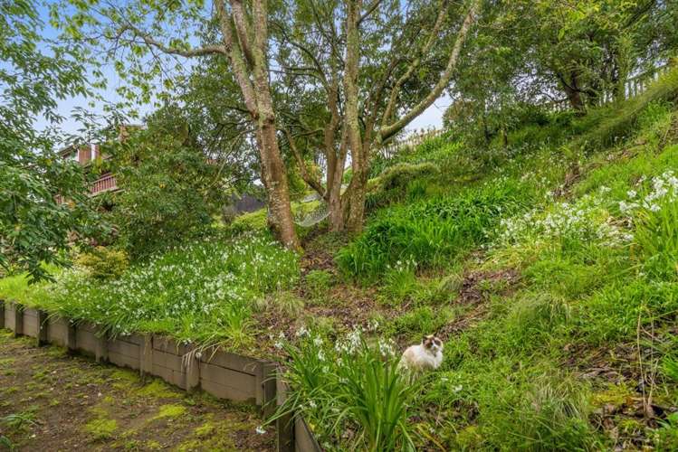 23 Mark Place Lynmore_11