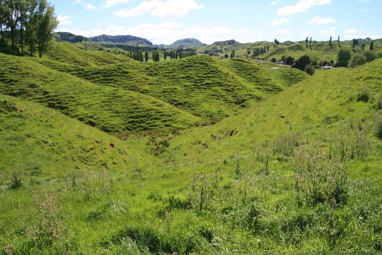 5 Marco Road Ruapehu-King Country Surrounds_6