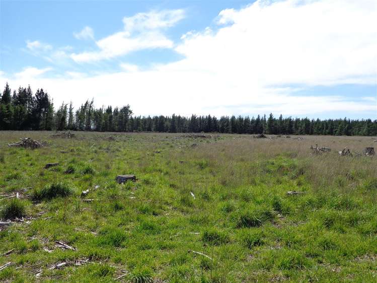 134 Struie Road Hororata_5