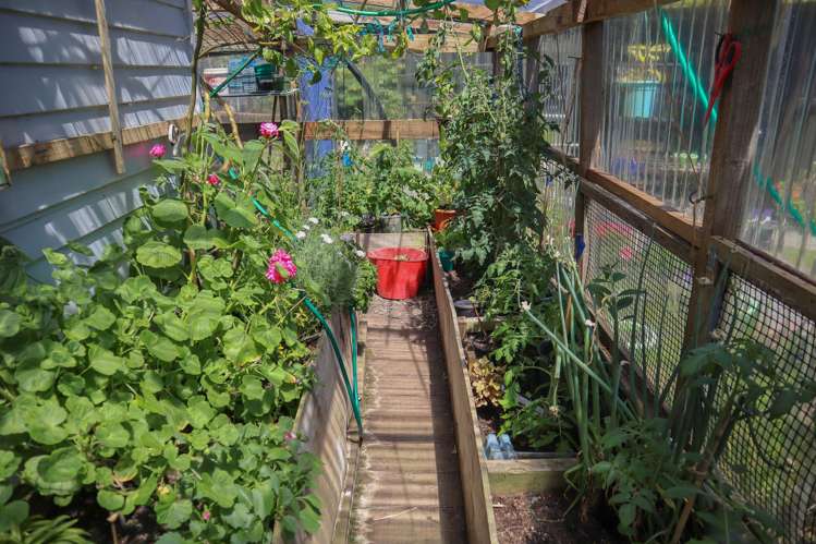 19 Plunket Street, Runanga_30