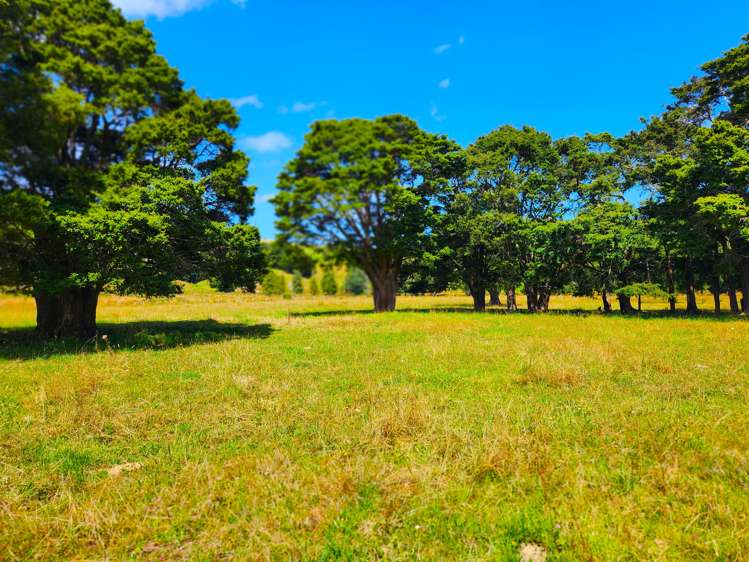 137 Opouteke Road Dargaville Surrounds_6