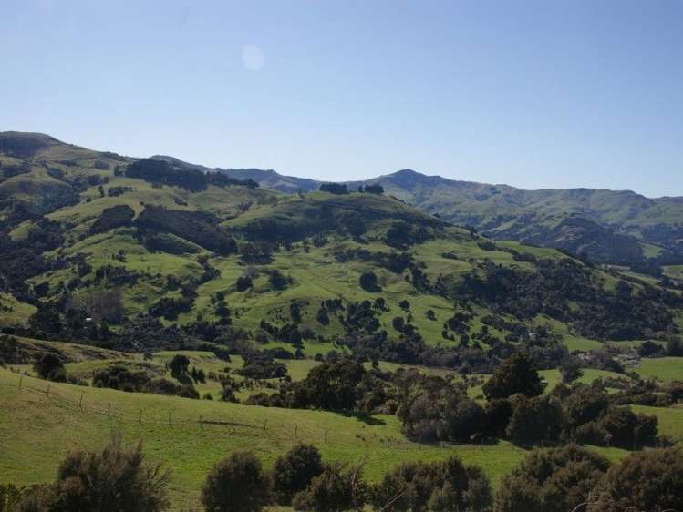 175 Barrys Bay Valley Road Duvauchelle_8