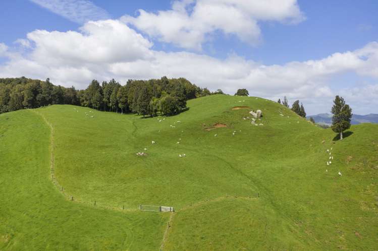 2140 State Highway 4 Aria_16