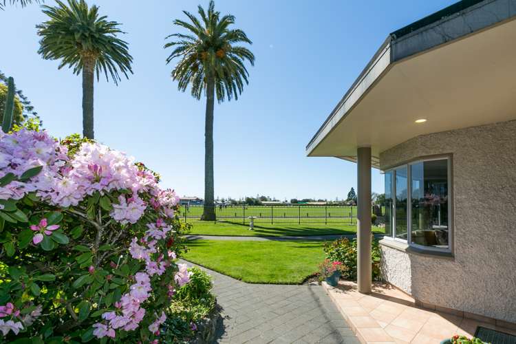 33 Mcdonald Street Napier South_0