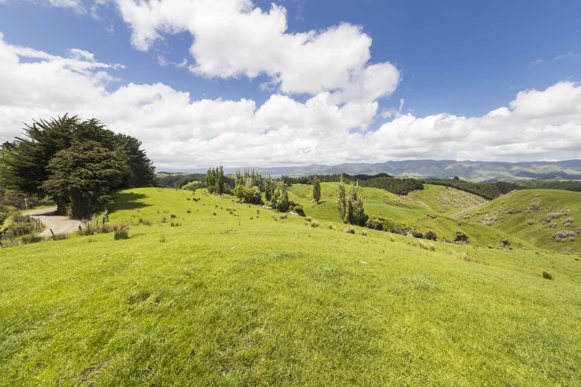 Finnis Road Pohangina_0