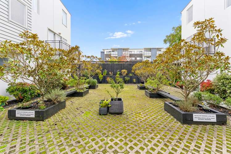 10/6 Islington Avenue New Lynn_15