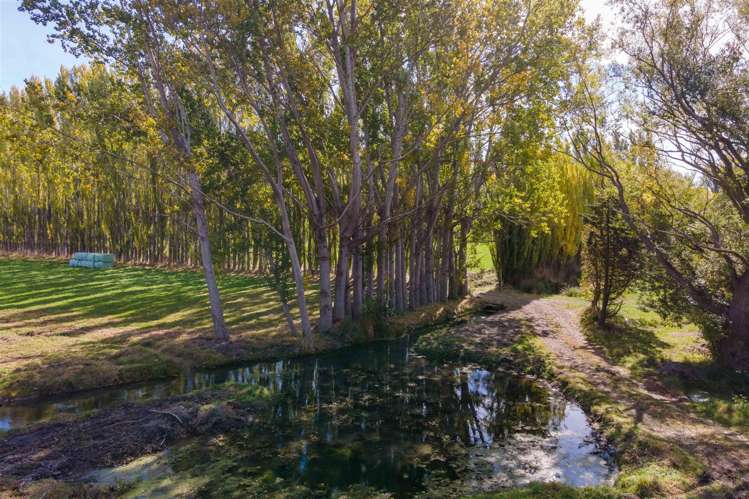 11 Willowcreek Lane Northwood_4