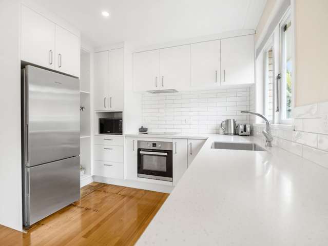 164 Seddon Street Pukekohe_2